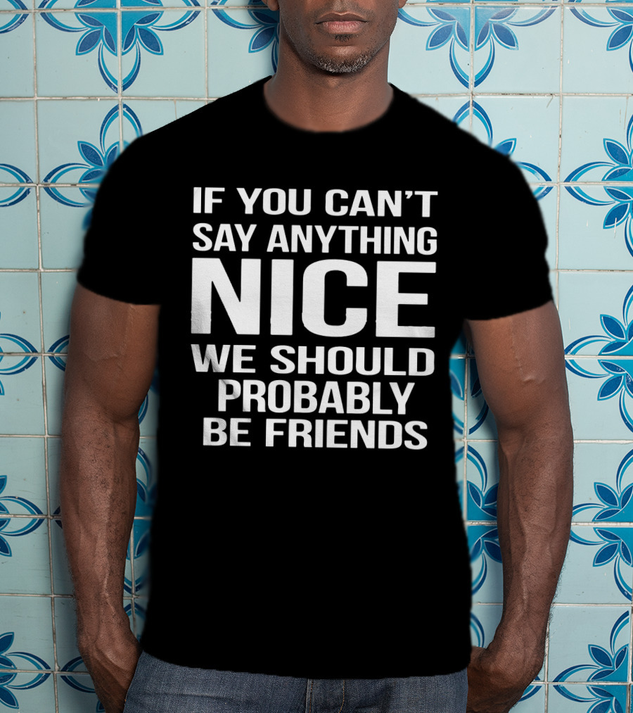 If You Can't Say Anything Nice We Should Probably Be Friends T-Shirt