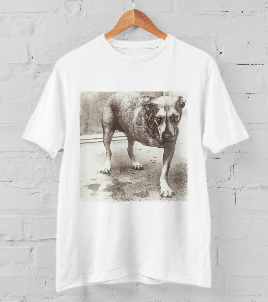 Dog With Yellow Eyes Aic T-Shirt