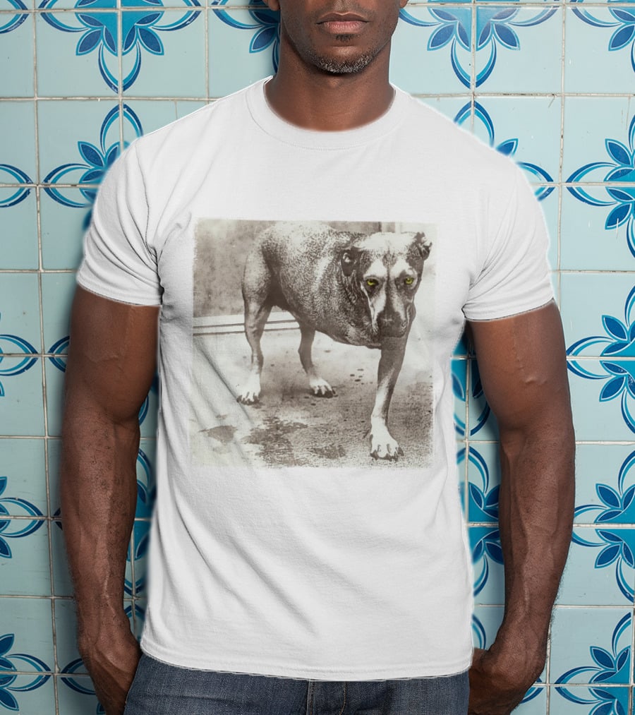 Dog With Yellow Eyes Aic T-Shirt