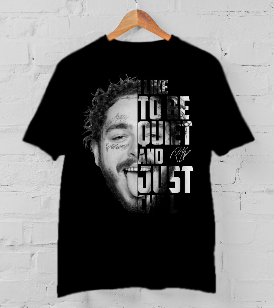 I Like To Be Quiet And Just Chill T-Shirt