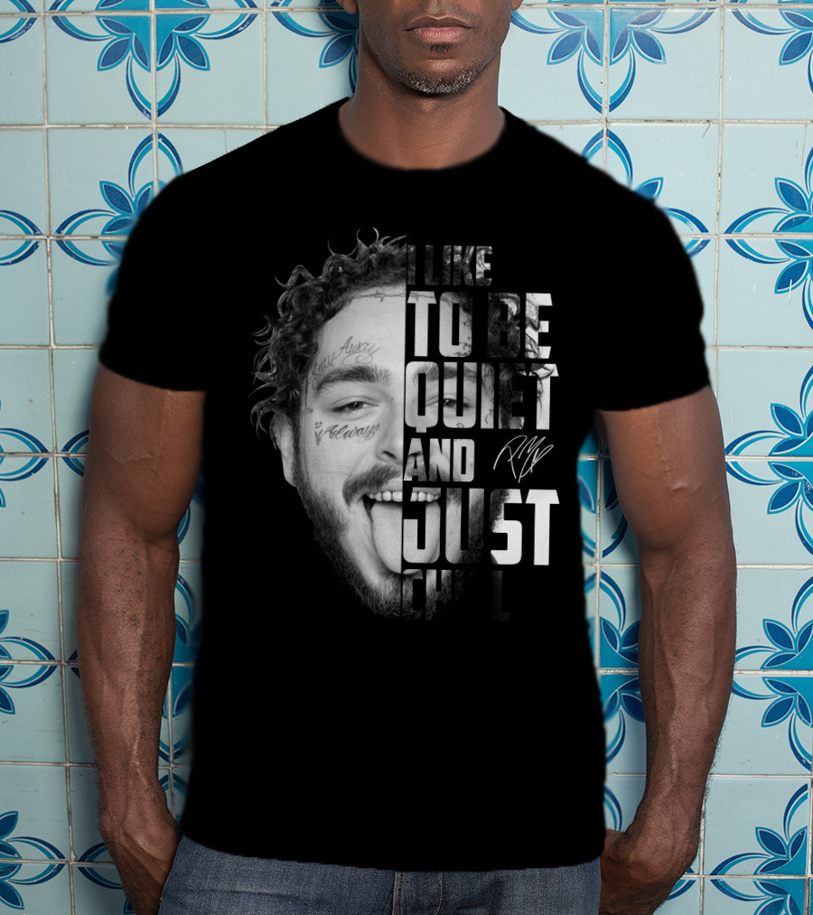 I Like To Be Quiet And Just Chill T-Shirt