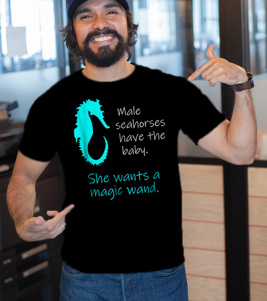 Male Seahorses Have The Baby She Wants A Magic Wand Dad To Be Maternity Tee96 T-Shirt