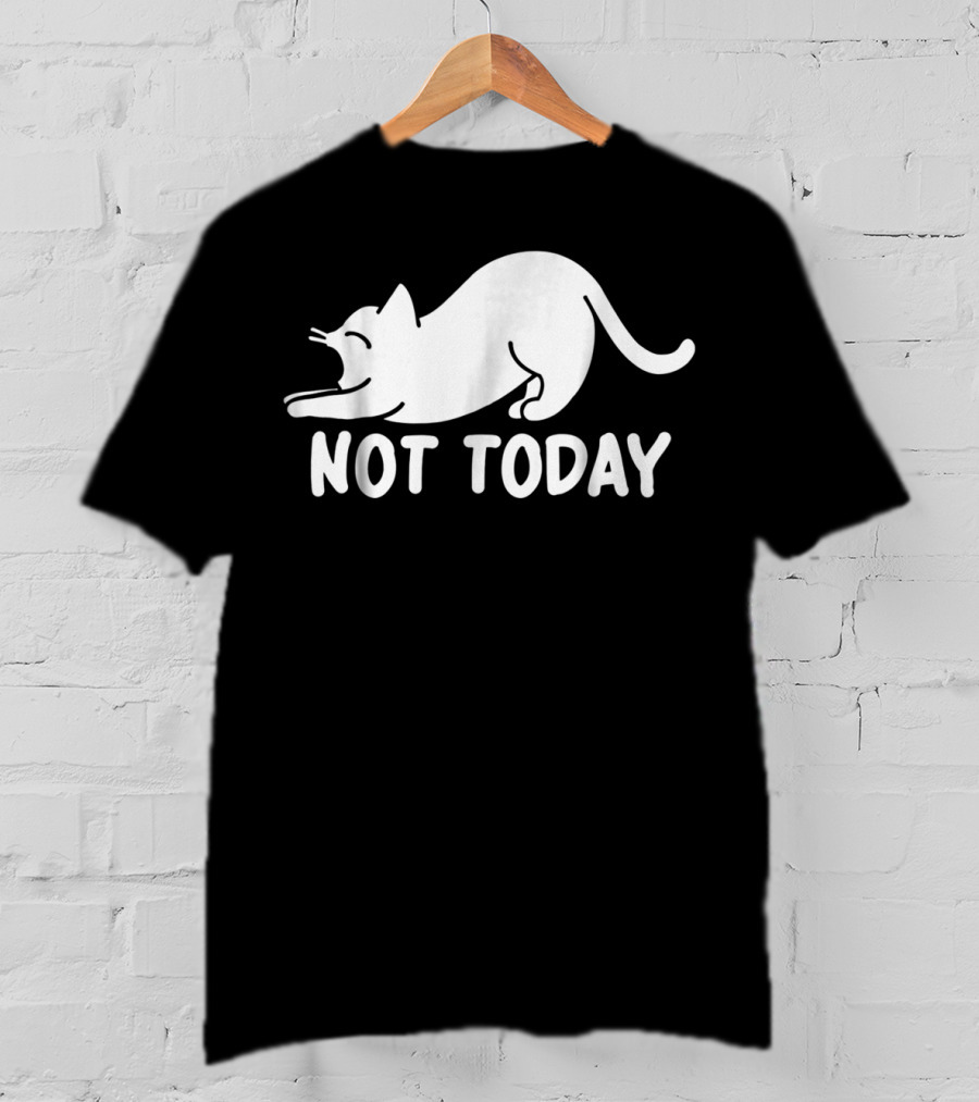Lazy Cat Not Today Cat Lovers Cat Lady Cat T-Shirt