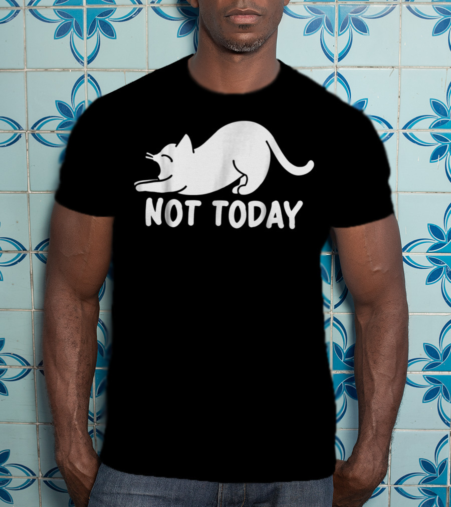 Lazy Cat Not Today Cat Lovers Cat Lady Cat T-Shirt