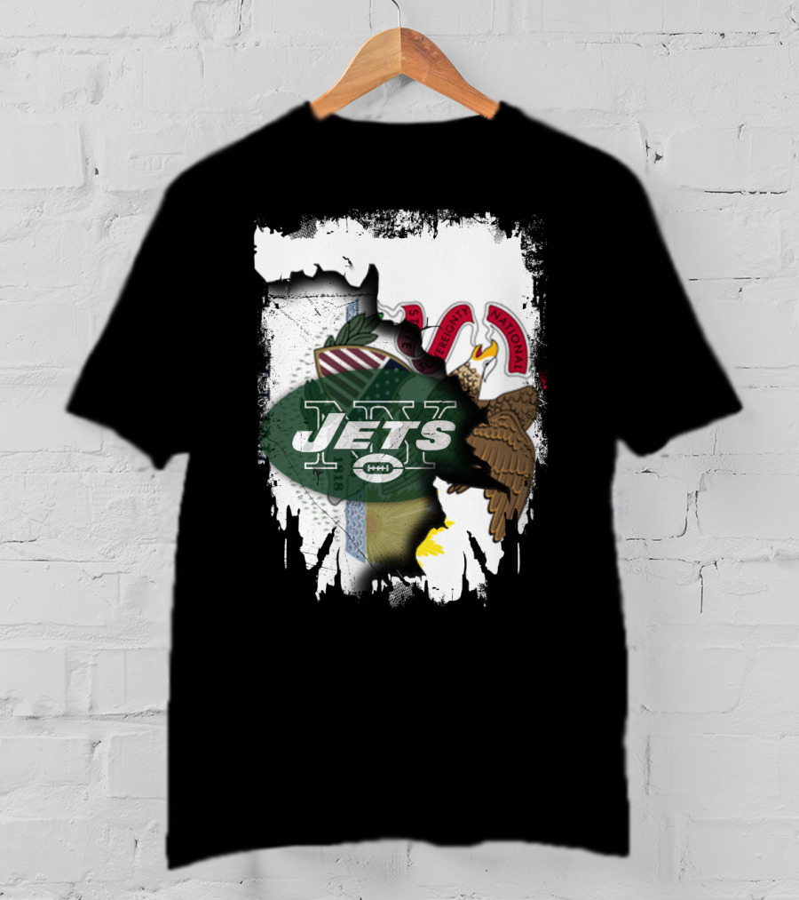 Illinois State Seal And Jets Logo Combination T-Shirt