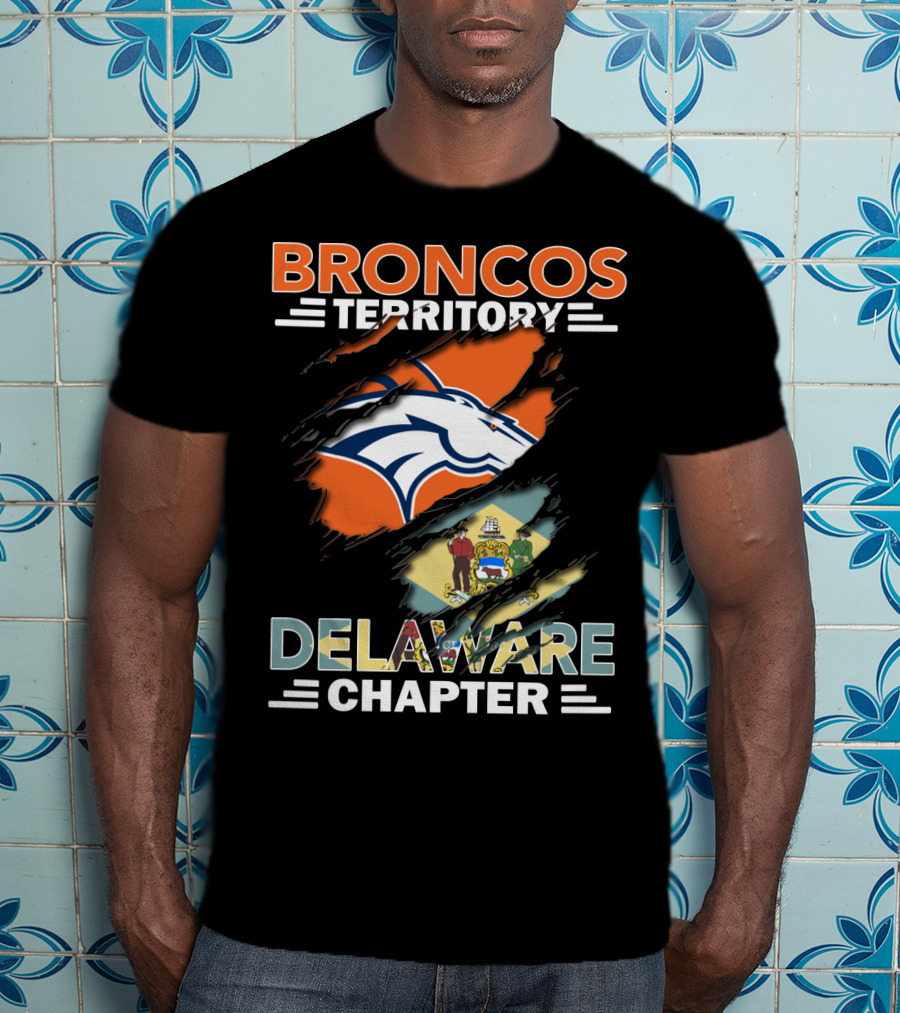 Broncos Territory Delaware Chapter State Flag And Logo Elements T-Shirt