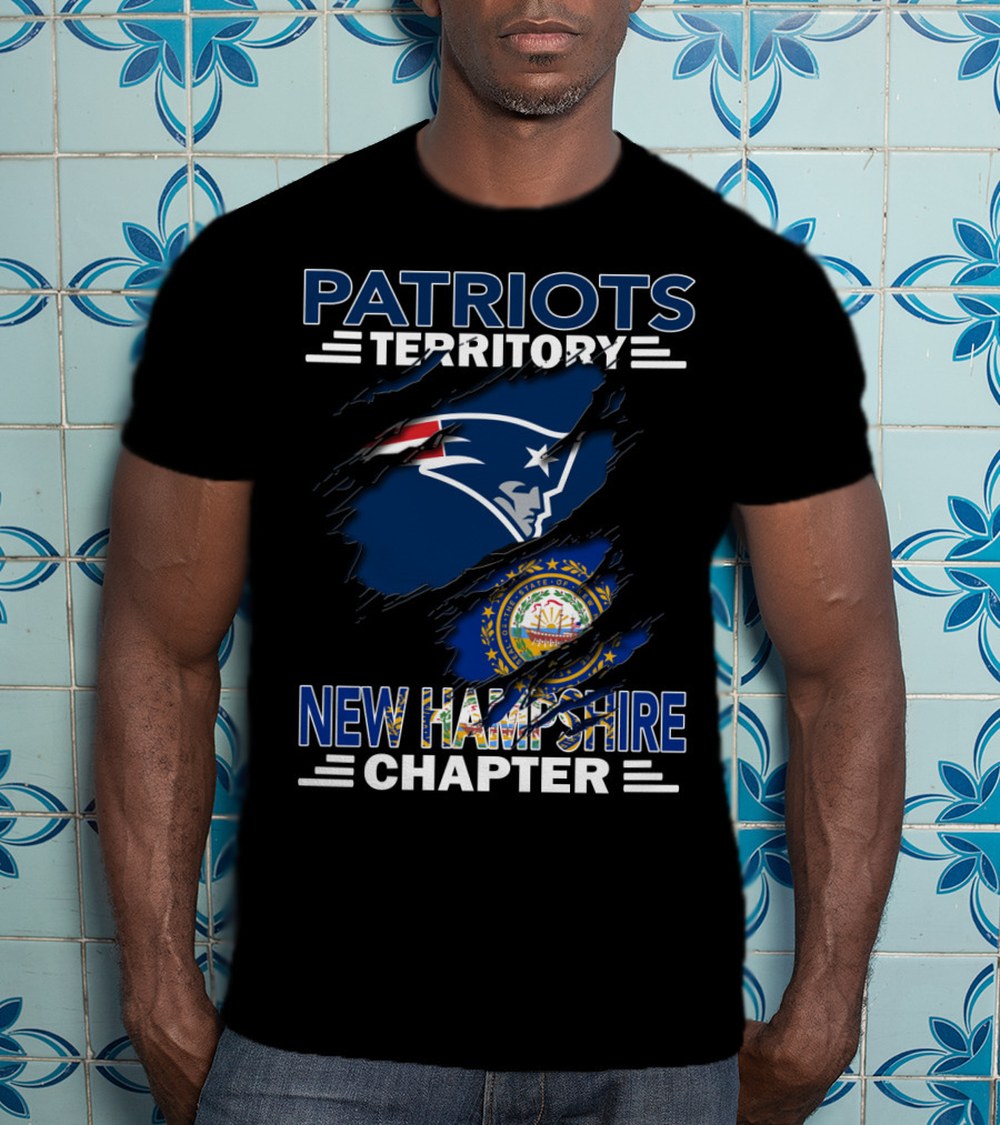 Patriots Territory New Hampshire Chapter Logo With New England Flag And State Seal T-Shirt