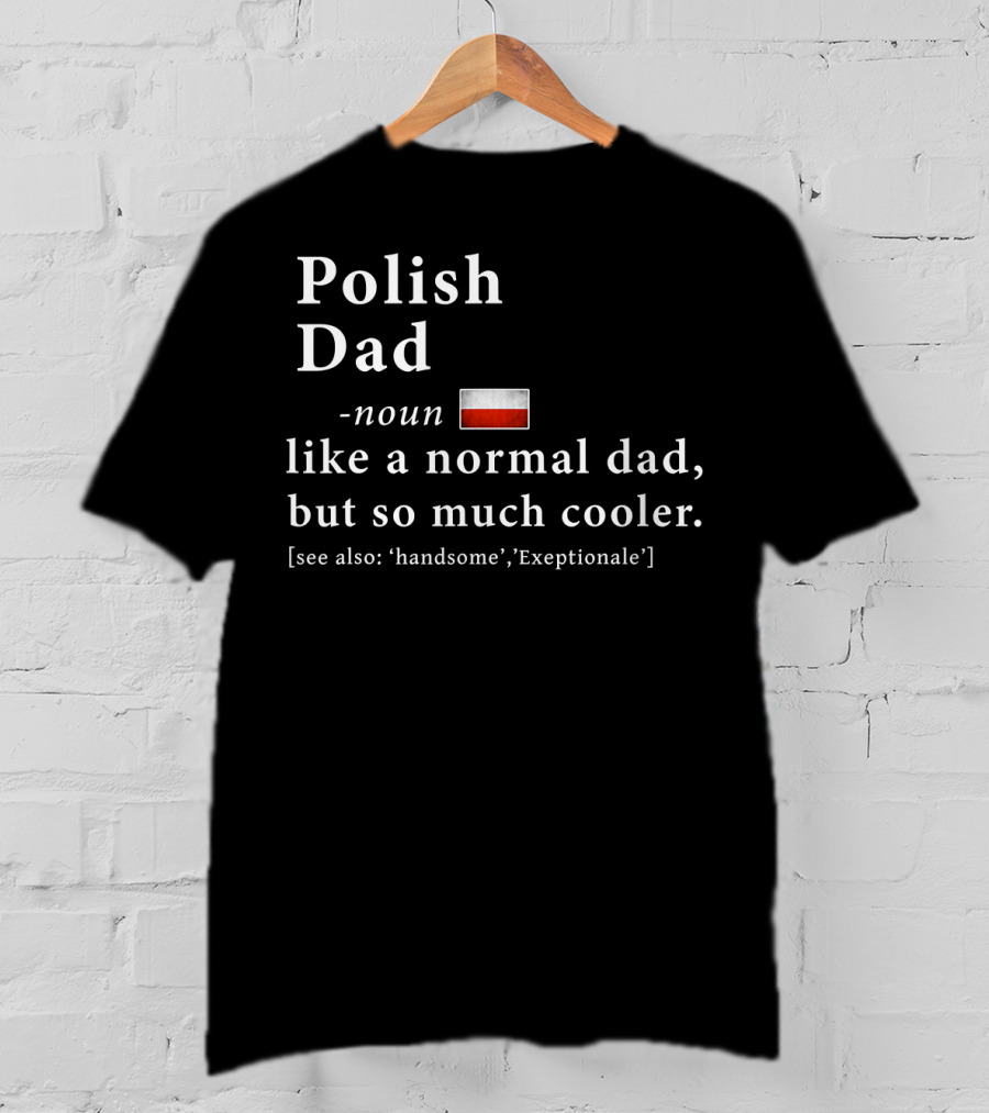 Polish Dad Noun Like A Normal Dad But So Much Cooler Handsome Exceptionale Polish Flag T-Shirt