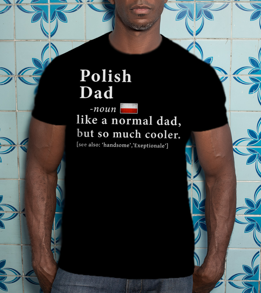 Polish Dad Noun Like A Normal Dad But So Much Cooler Handsome Exceptionale Polish Flag T-Shirt