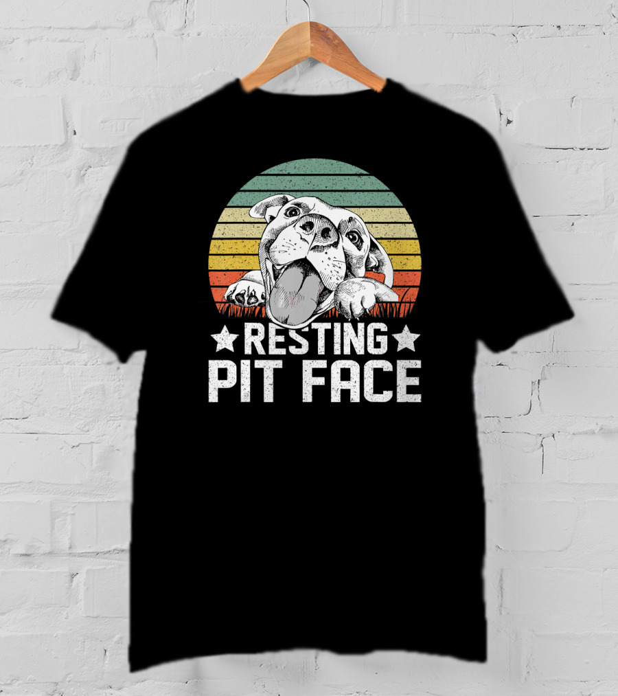 Vintage Resting Pit Face Pitbull Retro Sunset T-Shirt