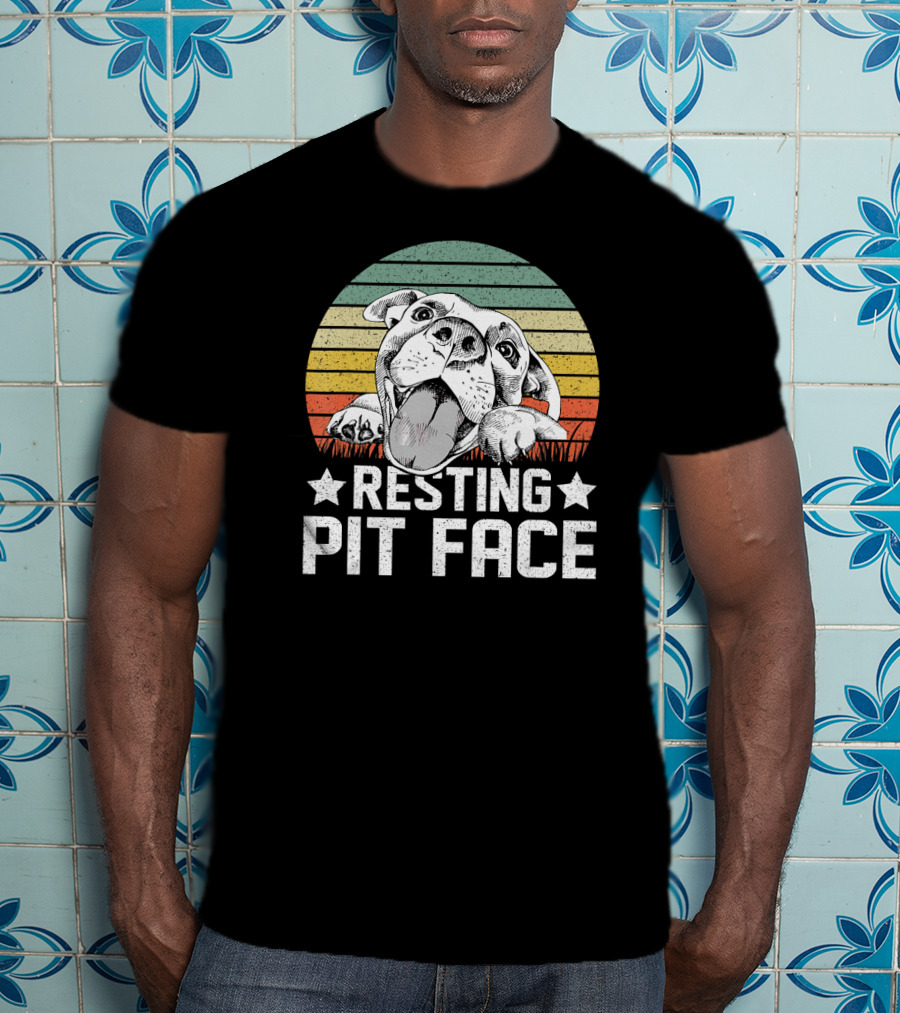 Vintage Resting Pit Face Pitbull Retro Sunset T-Shirt
