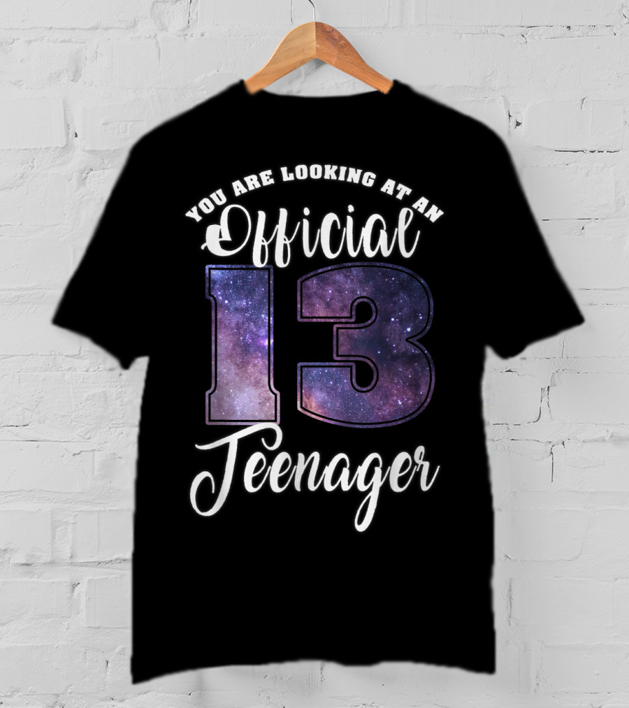 You Are Looking At An Official 13 Teenager T-Shirt