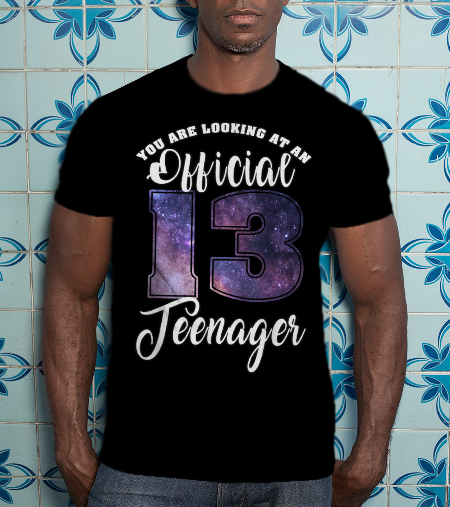 You Are Looking At An Official 13 Teenager T-Shirt