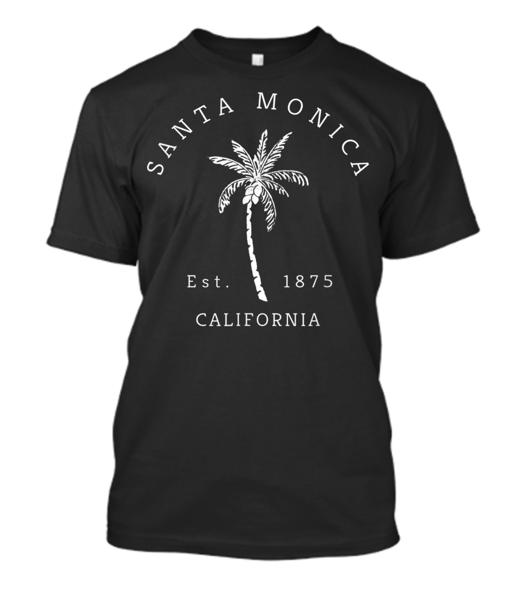 Santa Monica California Est. 1875 Palm Tree Retro Cool T-Shirt