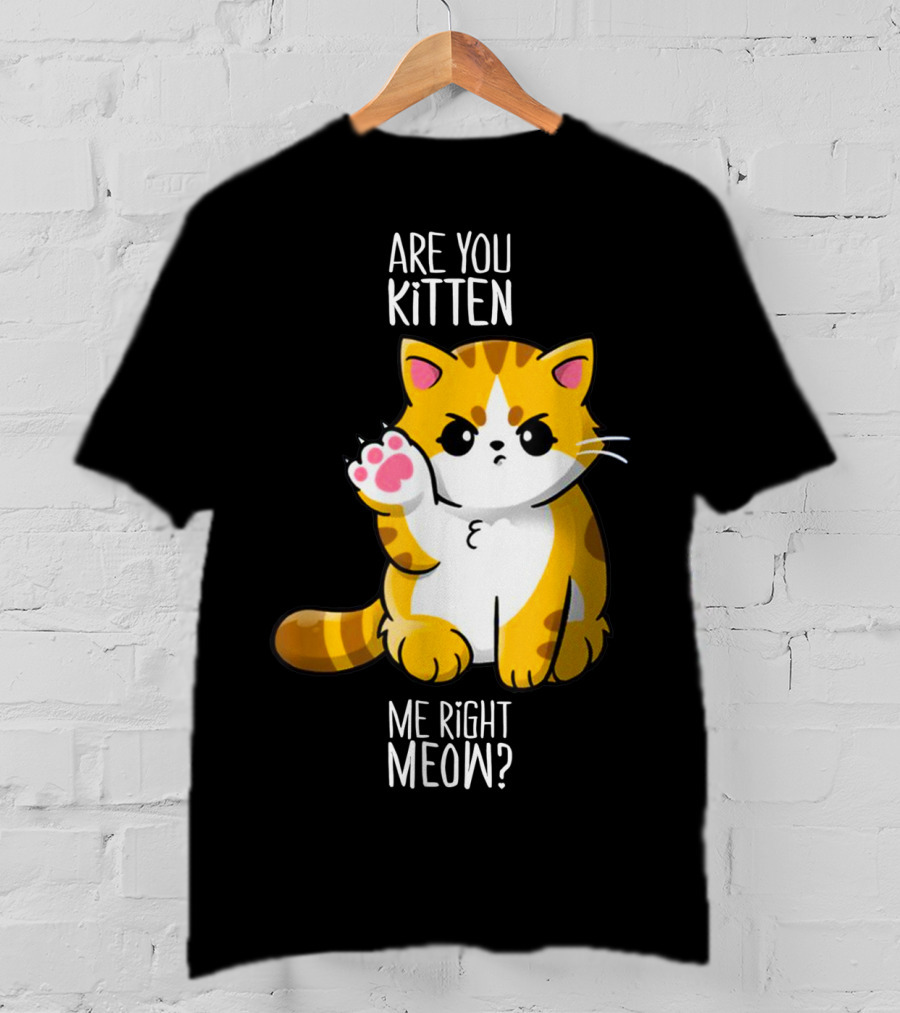 Are You Kitten Me Right Meow Cute Kitty T-Shirt