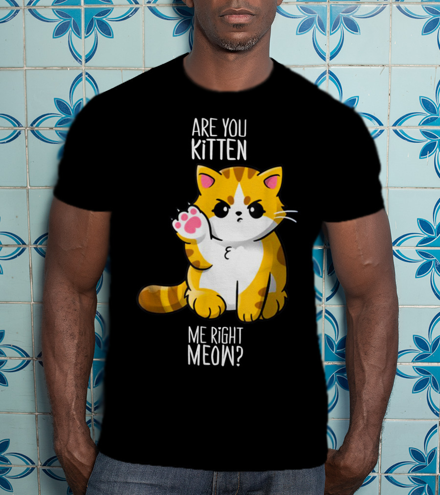 Are You Kitten Me Right Meow Cute Kitty T-Shirt