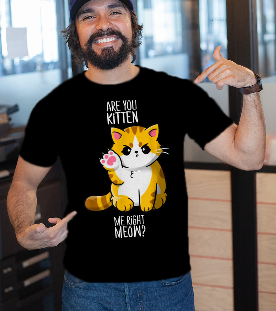 Are You Kitten Me Right Meow Cute Kitty T-Shirt