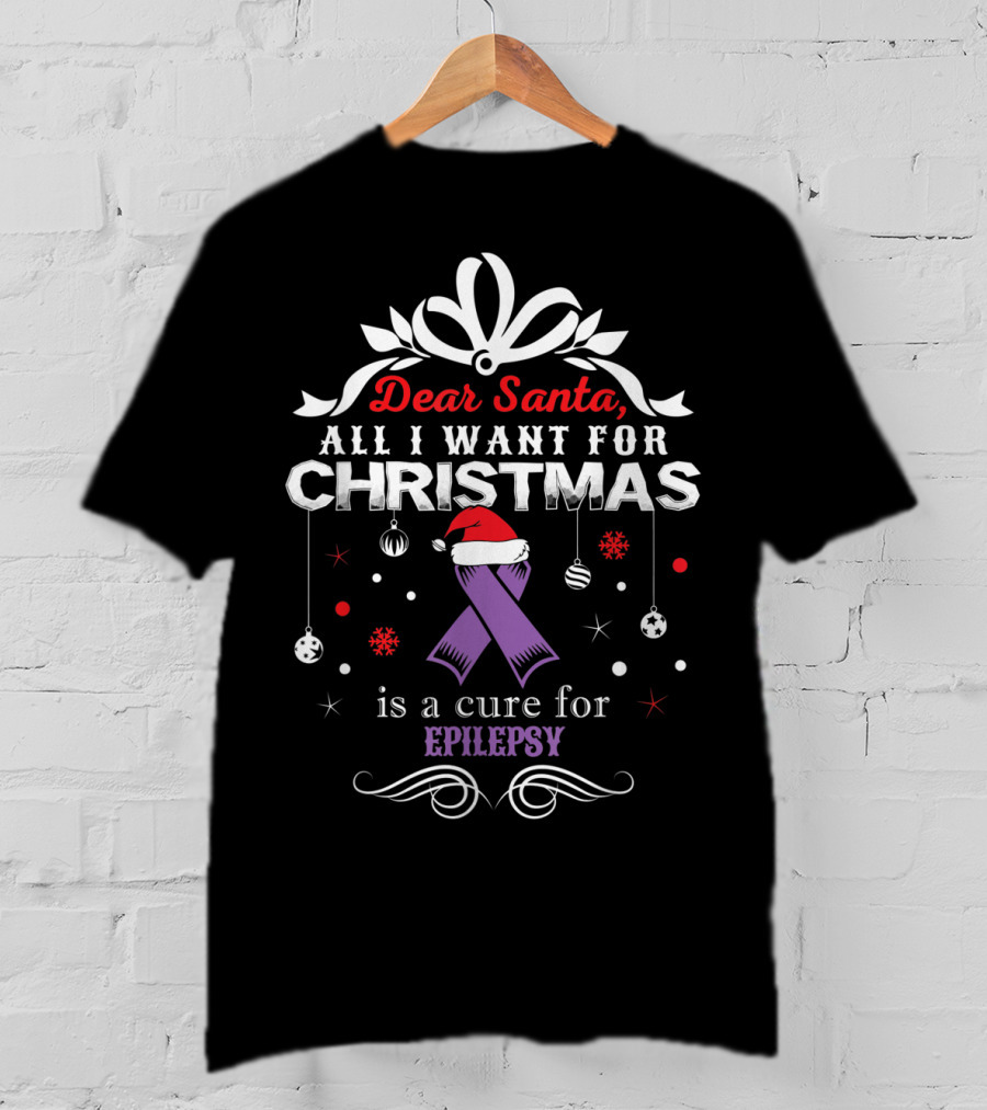 Dear Santa All I Want For Christmas Is A Cure For Epilepsy T-Shirt