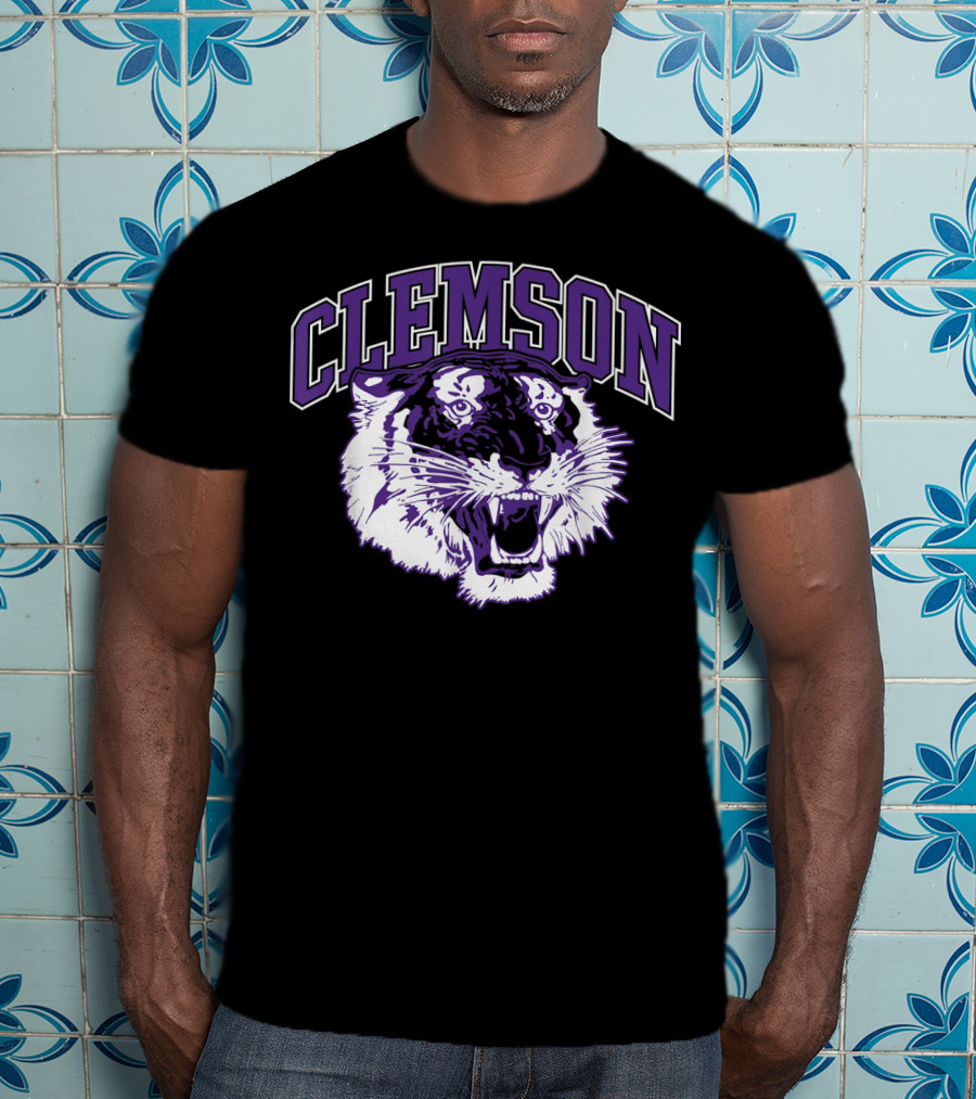 Clemson Tiger Vintage South Carolina Sports T-Shirt