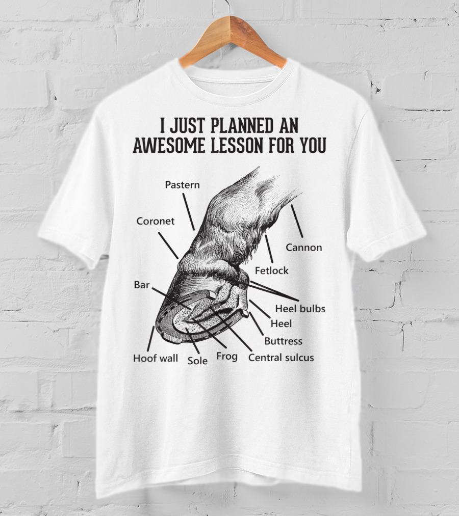 I Just Planned An Awesome Lesson For You Hoof Anatomy Funny Equestrians T-Shirt