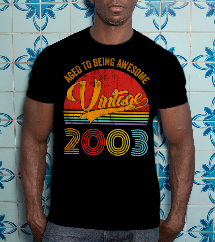 Aged To Being Awesome Vintage 2003 Rainbow T-Shirt