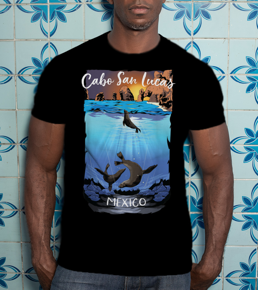 Cabo San Lucas Mexico Seals Ocean Rocks T-Shirt