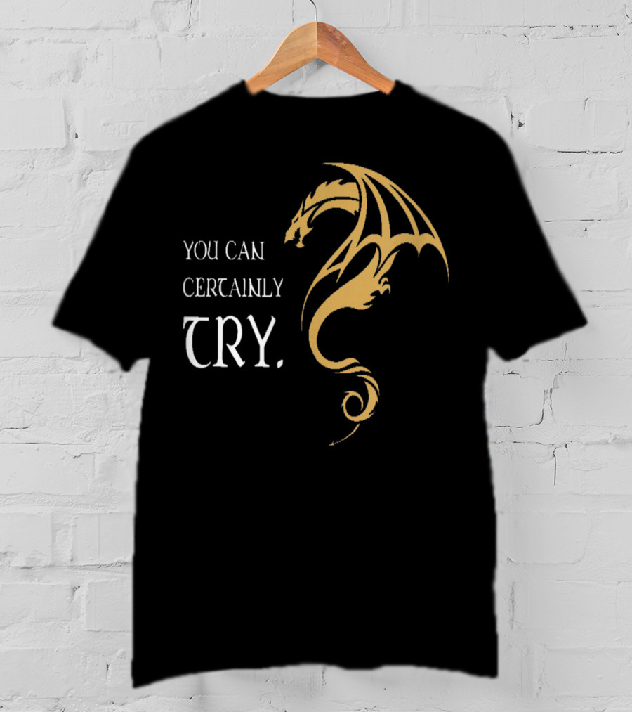 You Can Certainly Try Dragon Fire Dungeons Fantasy T-Shirt
