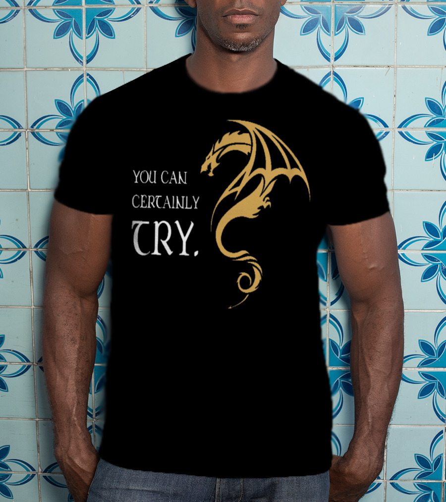 You Can Certainly Try Dragon Fire Dungeons Fantasy T-Shirt