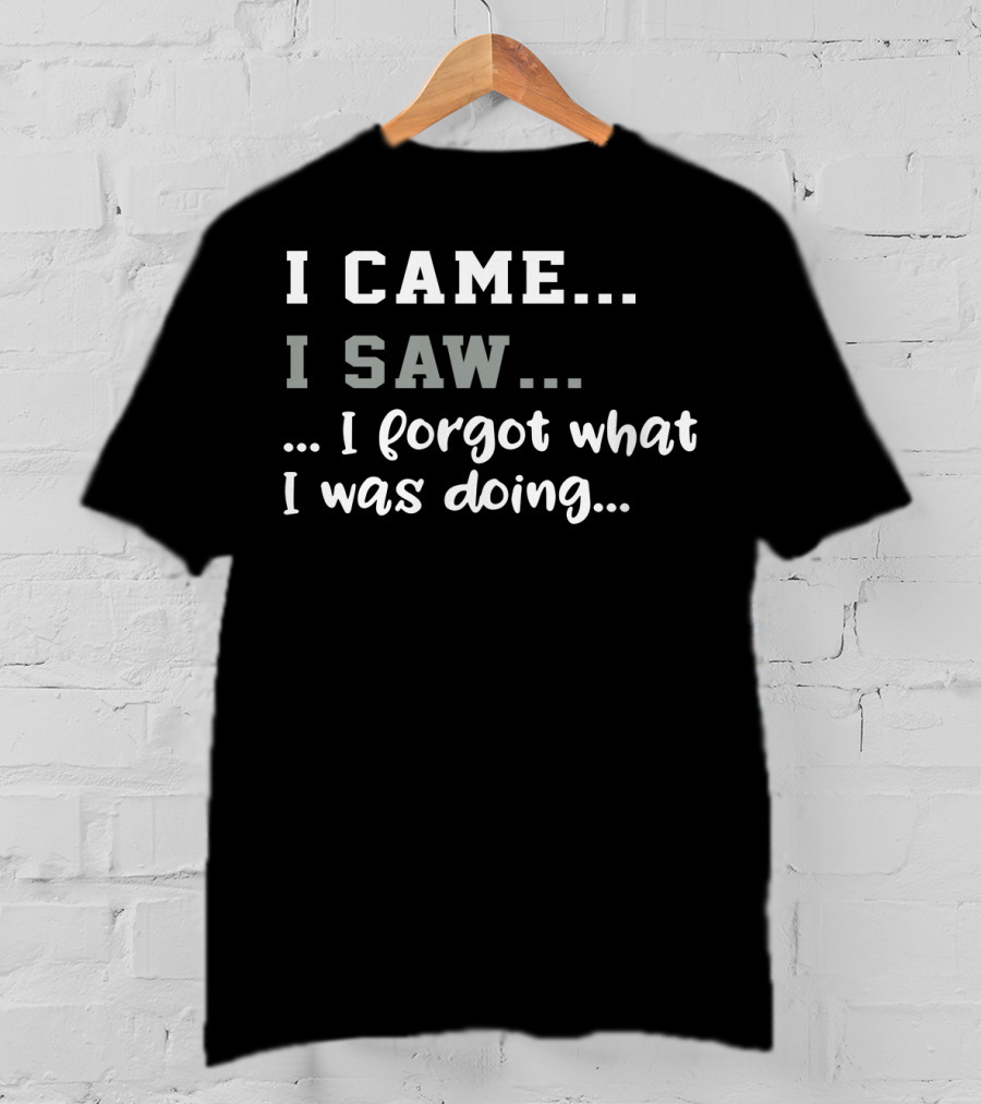I Came I Saw I Forgot What I Was Doing T-Shirt