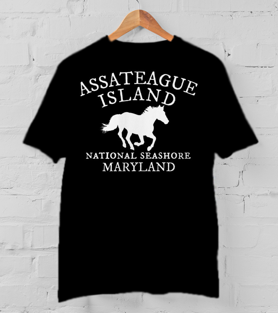 Assateague Island National Seashore Maryland Horse T-Shirt