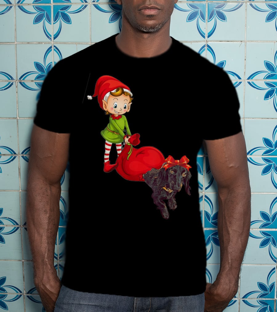 Kids Elf With Red Gift Sack And Black Dog In Santa Hat T-Shirt