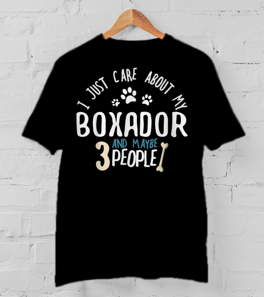 I Just Care About My Boxador And Maybe 3 People T-Shirt