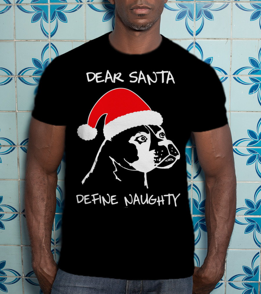 Dear Santa Define Naughty Boxer Funny Ugly Xmas Dog Lovers T-Shirt