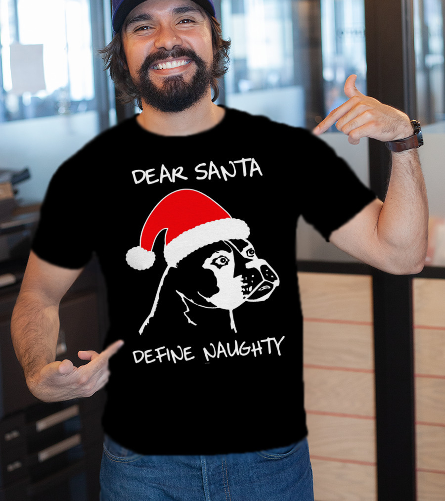 Dear Santa Define Naughty Boxer Funny Ugly Xmas Dog Lovers T-Shirt