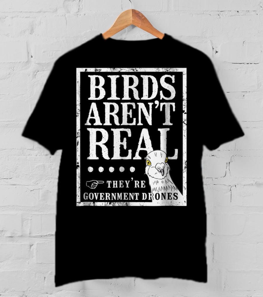 Birds Aren't Real They're Government Drones Meme T-Shirt