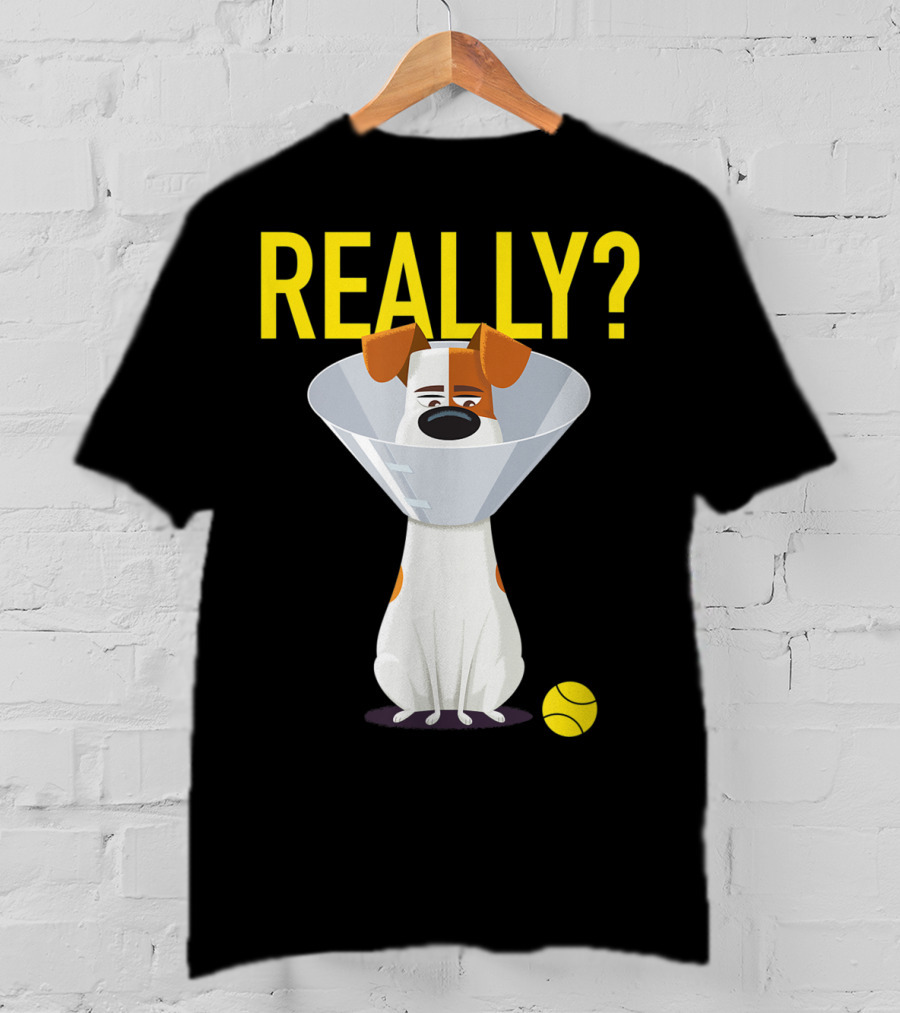 The Secret Life Of Pets 2 Max Really? Ball Cone Collar T-Shirt