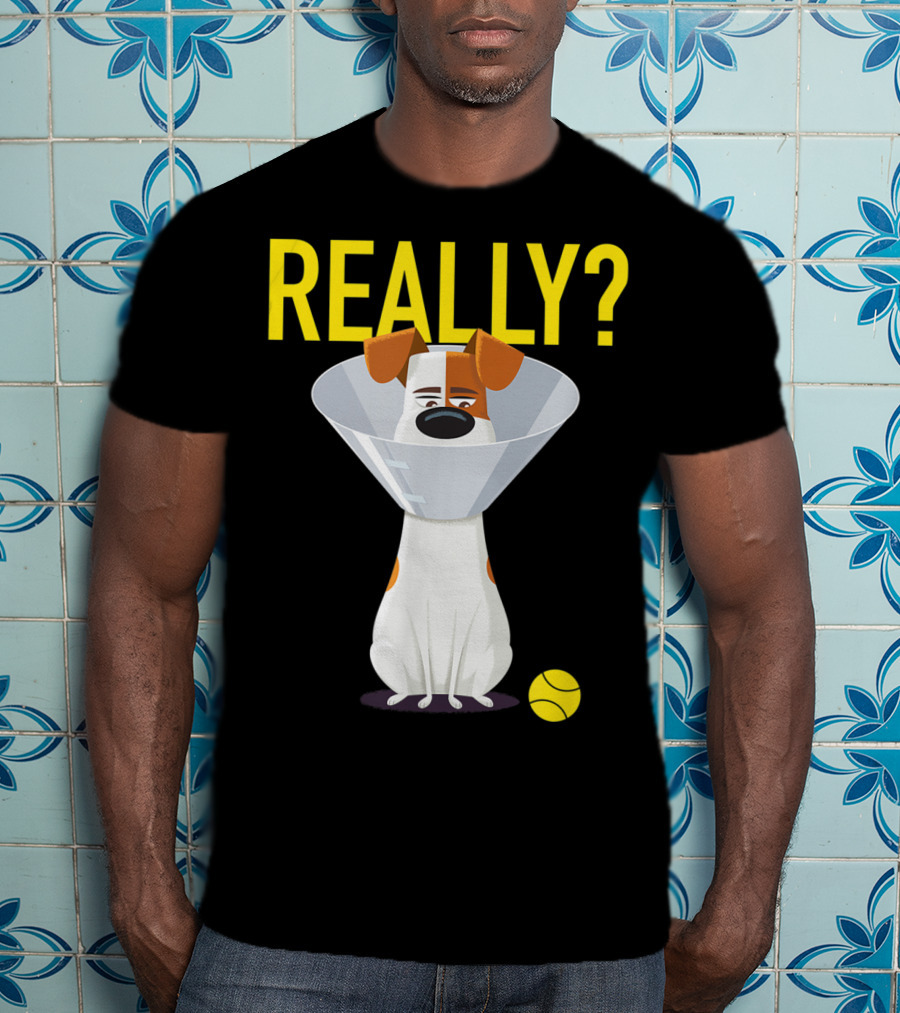 The Secret Life Of Pets 2 Max Really? Ball Cone Collar T-Shirt