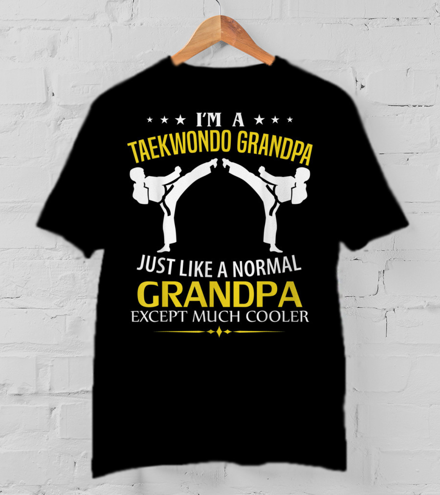 I'm A Taekwondo Grandpa Just Like A Normal Grandpa Except Much Cooler T-Shirt