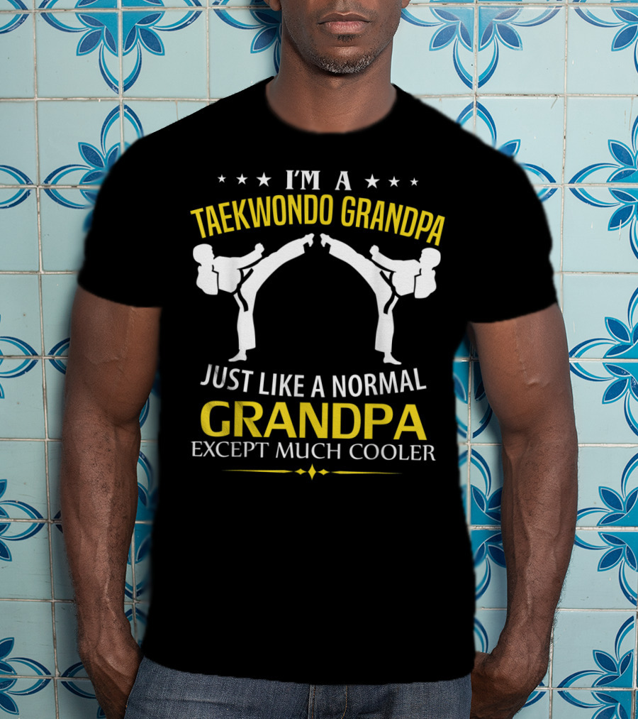 I'm A Taekwondo Grandpa Just Like A Normal Grandpa Except Much Cooler T-Shirt