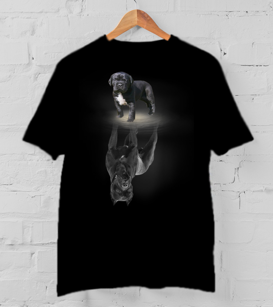 Cane Corso Dog Lovers Cane Corso Mastiff Reflection T-Shirt