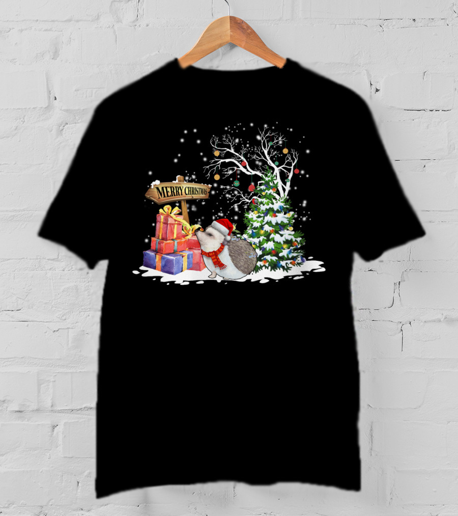 Merry Christmas Funny Hedgehog Santa Christmas Hedgehog Lover T-Shirt