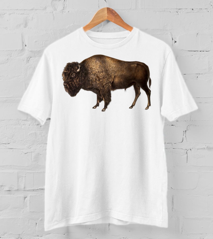 Buffalo Bison Vintage American Classic T-Shirt