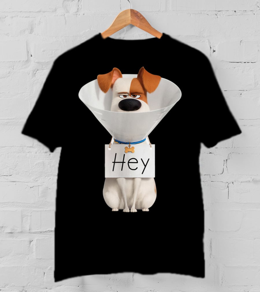 Hey Max Dog Cone Humor T-Shirt