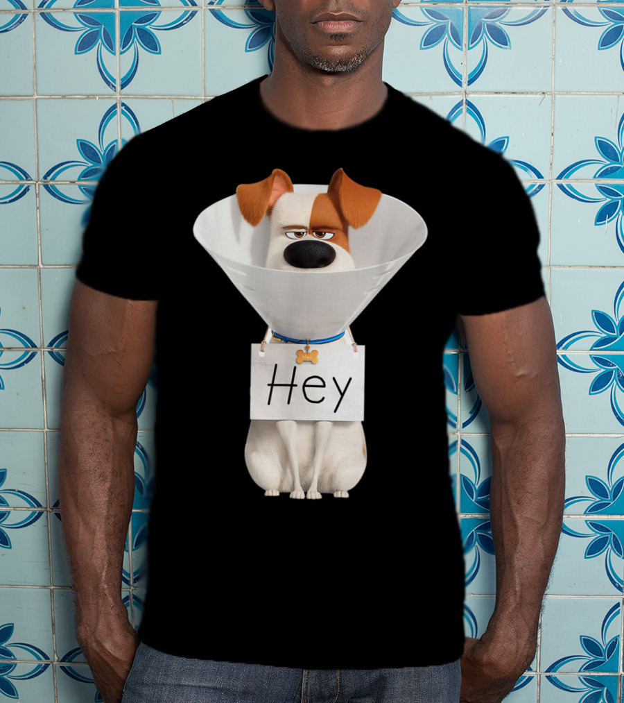 Hey Max Dog Cone Humor T-Shirt