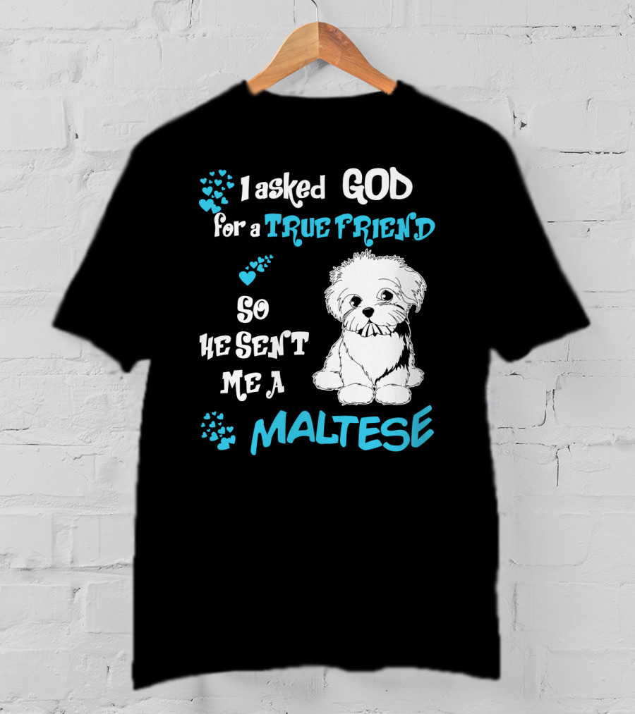 God Sent Me A True Friend Maltese Dog So He Sent Me A Maltese T-Shirt