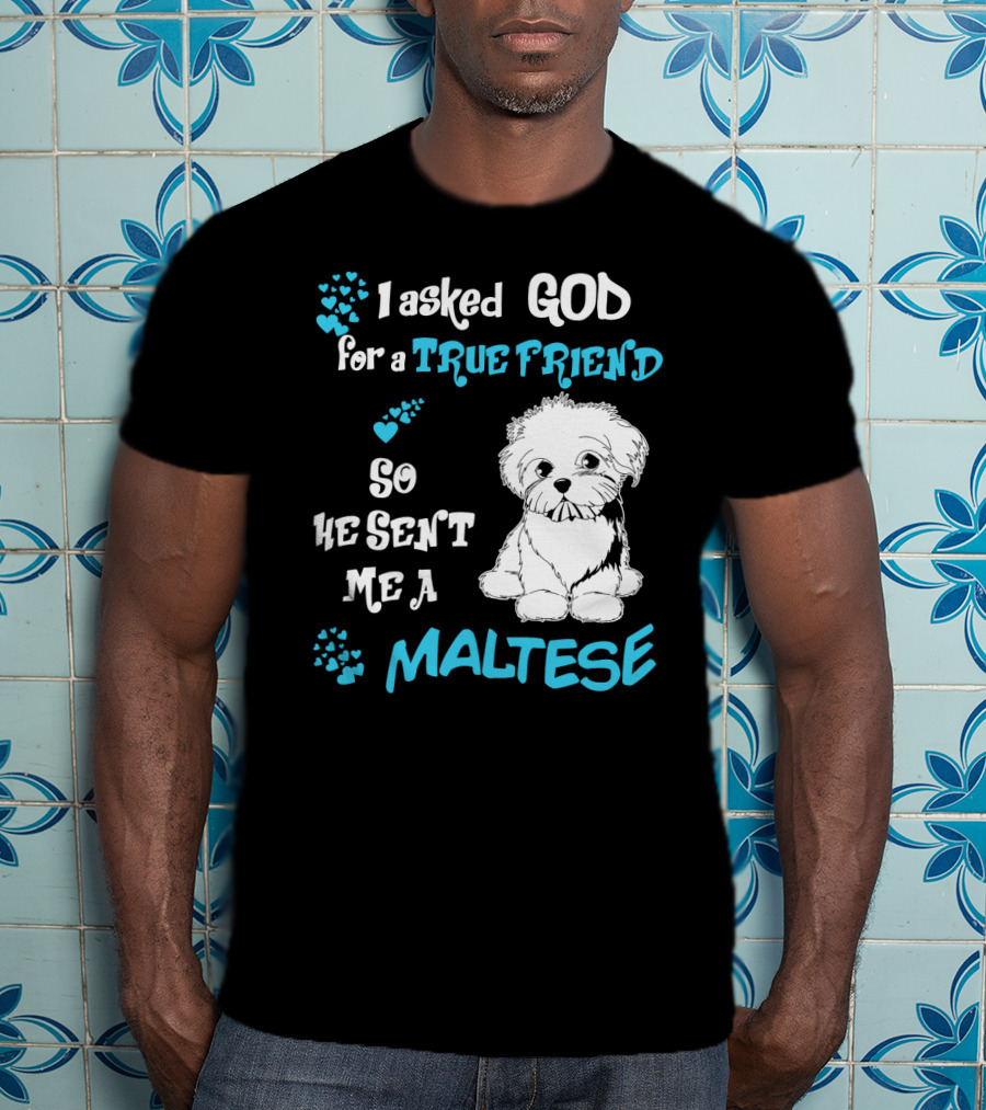 God Sent Me A True Friend Maltese Dog So He Sent Me A Maltese T-Shirt