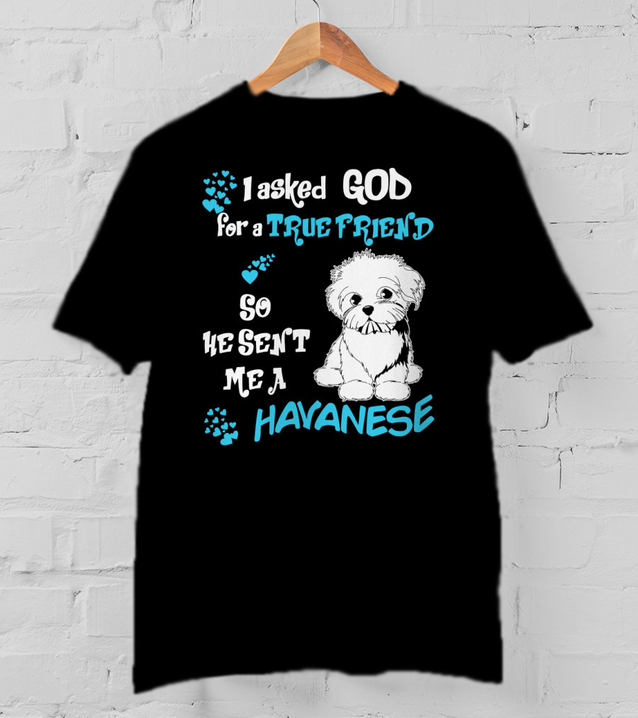 I Asked God For A True Friend So He Sent Me A Havanese T-Shirt