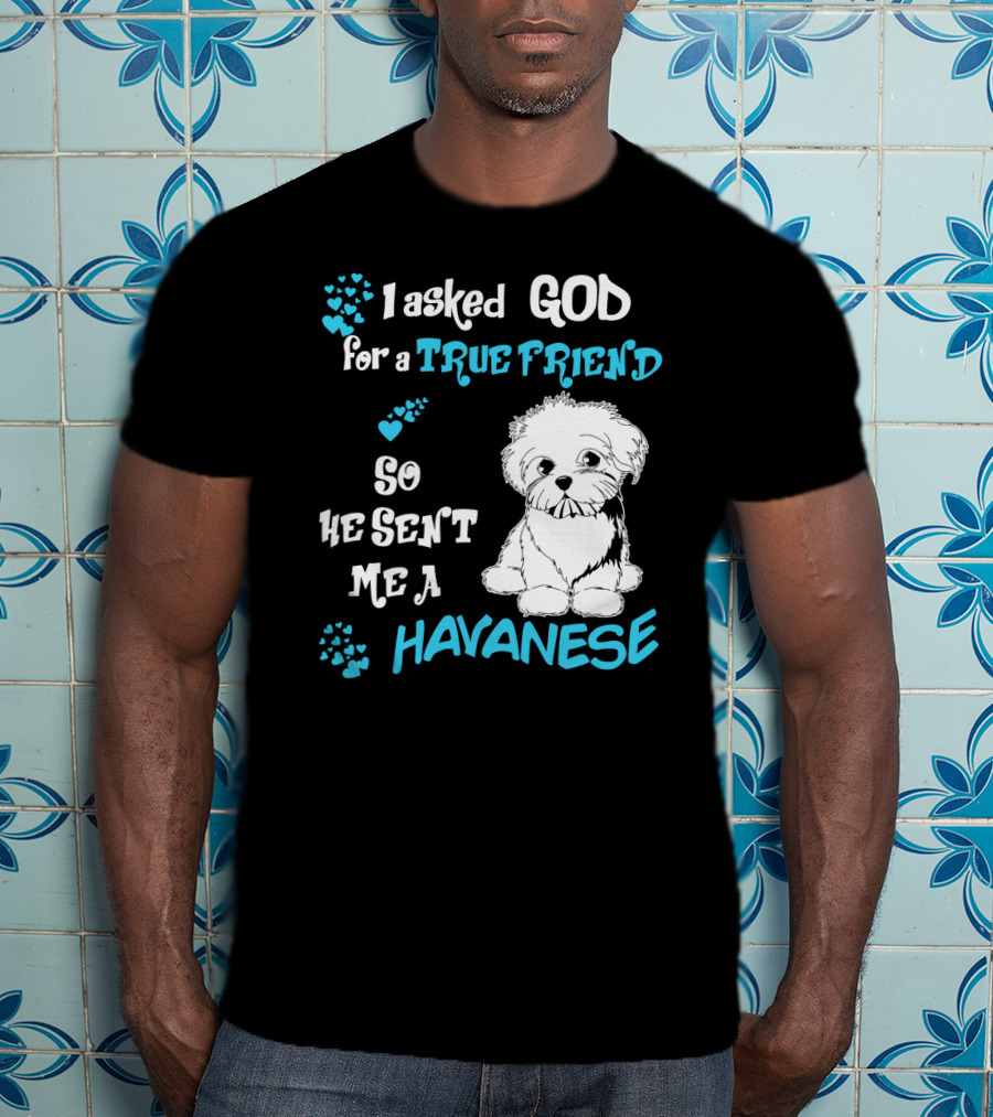 I Asked God For A True Friend So He Sent Me A Havanese T-Shirt