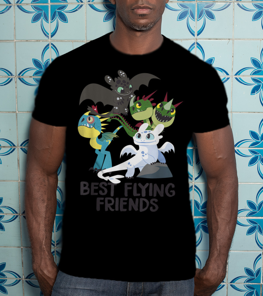 Best Flying Friends How To Train Your Dragon 3 Hidden World T-Shirt
