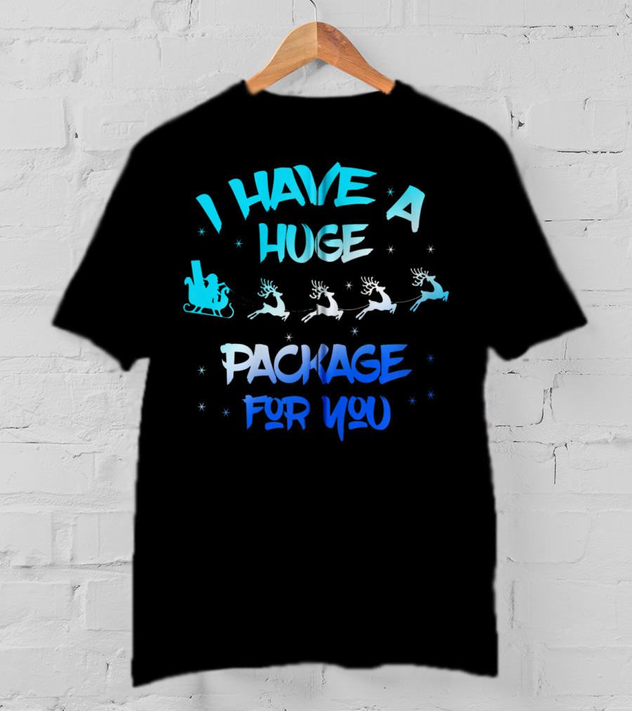 I Have A Huge Package For You Santa Reindeer Sleigh T-Shirt